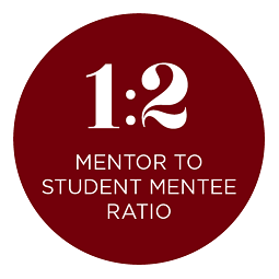 infographic: the ratio of mentors to student mentee is 1 to 2