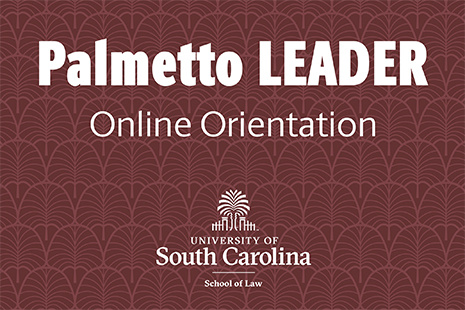 Palmetto Leader Orientation Video