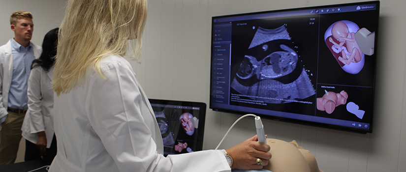 Doctor using ultrasound simulator to see fetus