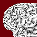 Brain Health Network List Image