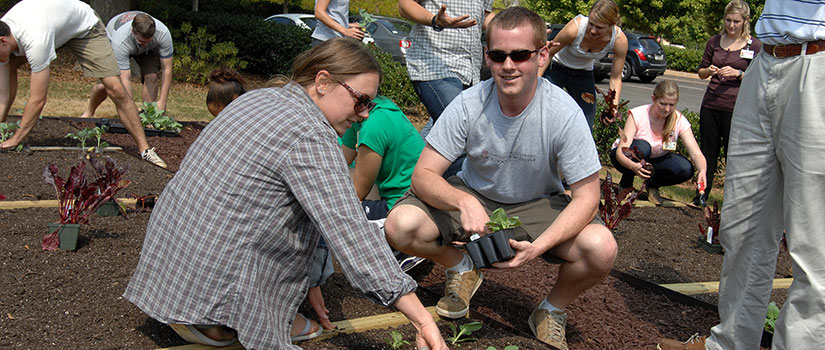 School of Medicine Greenville students work together in a community garden