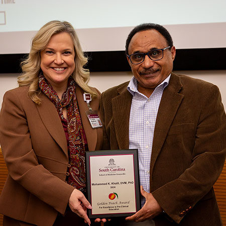 Faculty Awards