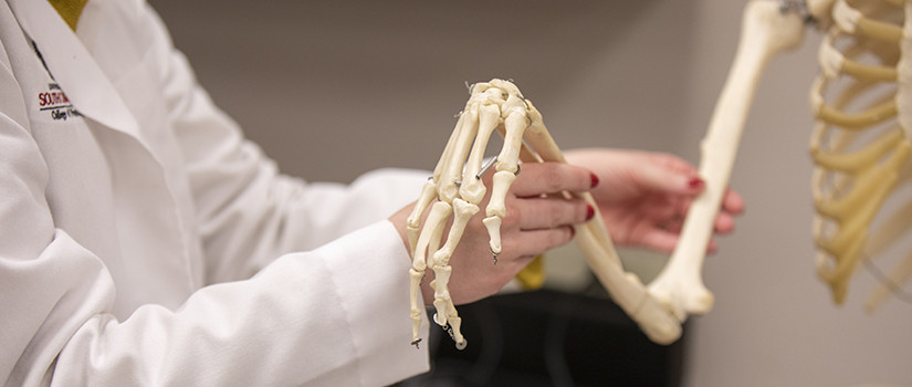 Student and skeleton hand