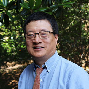 dr. wang