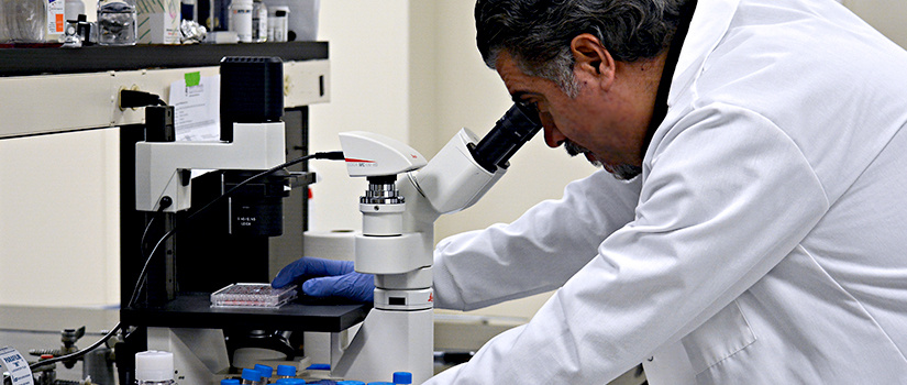 Drug Discovery & Biomedical Sciences has 17 tenred and tenure-track faculty