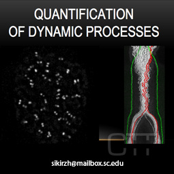 Quantification of dynamic processes