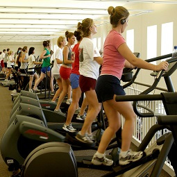 Row of people exercising on cardio equipment