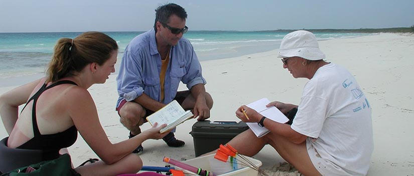 Researchers sitting on a beach