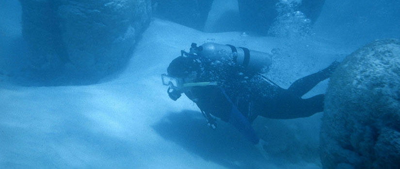  Scuba diver under water