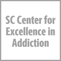 SC Center for Excellence in addiction