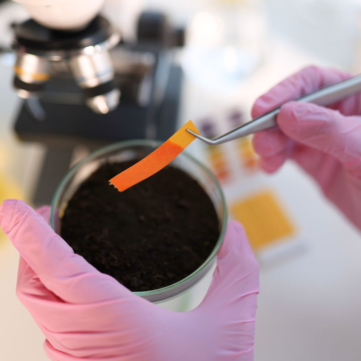 Soil for research