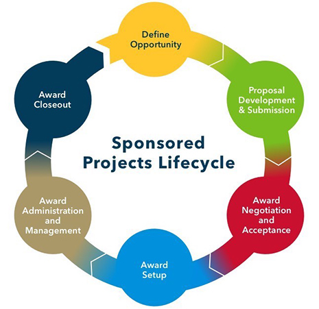 Life Cycle of Project