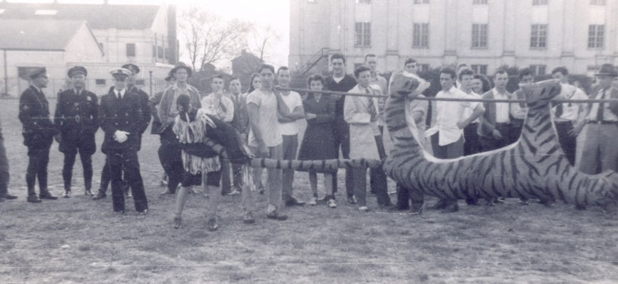 An original photo of a tiger burn in the 1940s, provided by the University archives. It depicts a life-sized stuffed tiger held on a stick ready to be roasted.