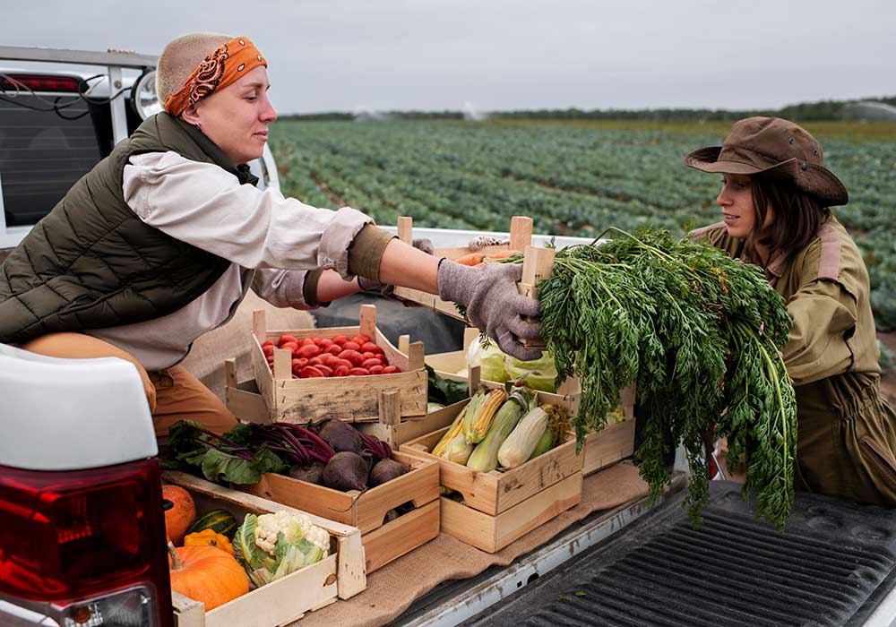 Fresh fruits and vegetables are passed between two adults in a rural community