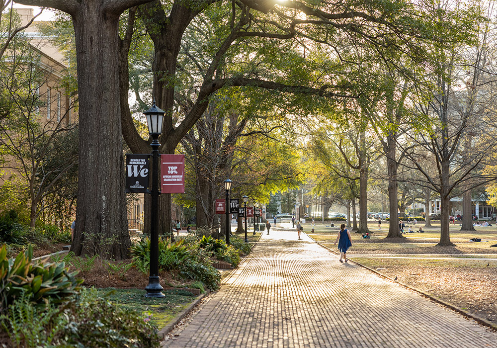 A student walks along the Horseshoe