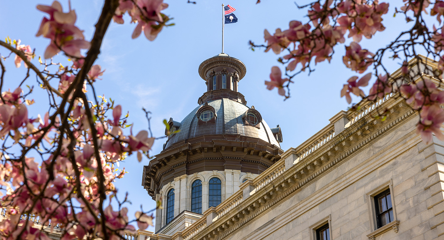The State House dome, seen through blooming trees in the foreground