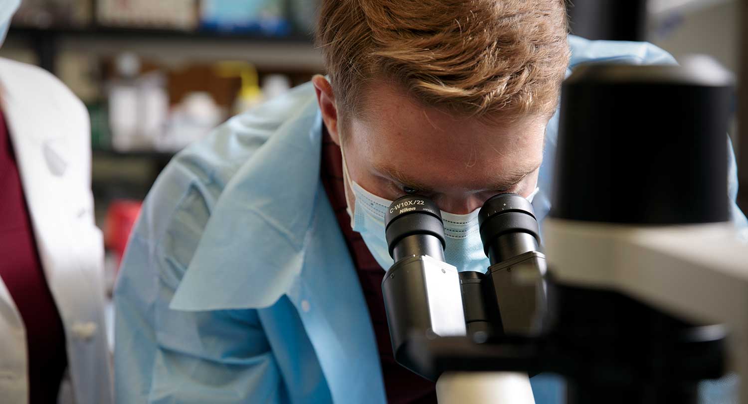 Researchers look into a microscope at the University of South Carolina.