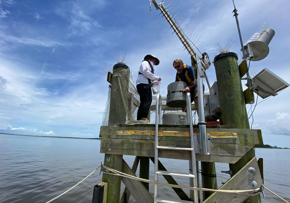 people stand on a platform in a saltmarsh