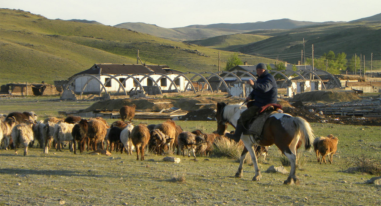 A horseback-riding farmer herds sheep across a sparse and hilly, rural landscape.
