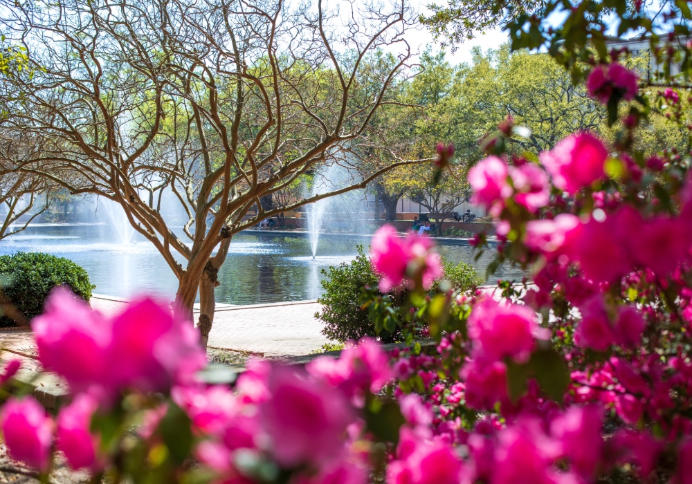 View of flowers on the USC campus.