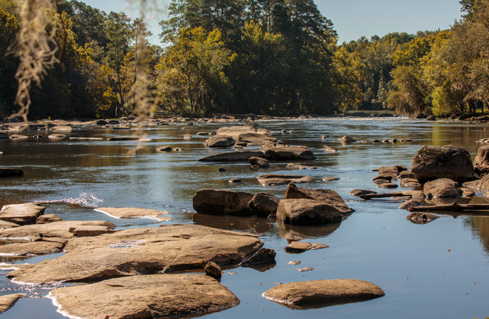 View of the Congaree River with river rocks protruding from the water. 