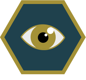 Human eye icon. 