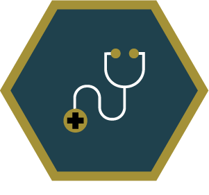 Medical stethoscope icon.