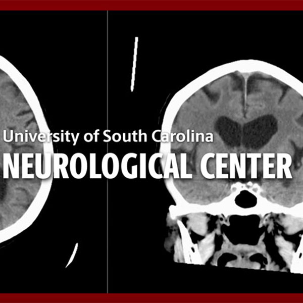 Scan of brain and skull