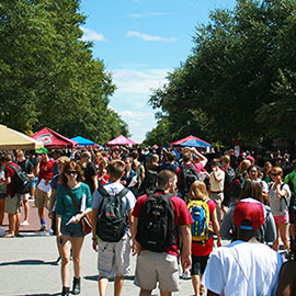 student organization fair