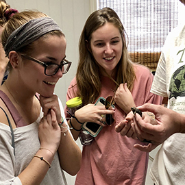south carolina honors students study turtles in nature writing class