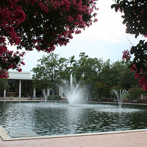The fountain in front of the Thomas Cooper Library