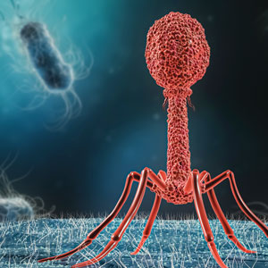 micro image of phage