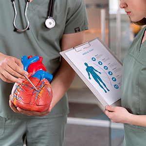 Male medical provider uses pointer on model of human heart neat to female medical provider holding clipboard.