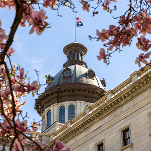 The State House dome, seen through blooming trees in the foreground