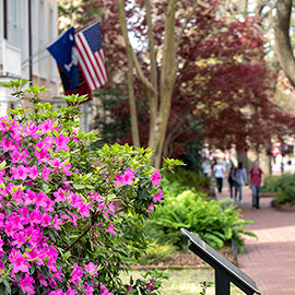 flowers and the USC president's house in the background