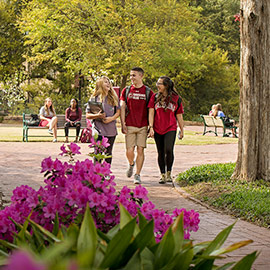 Three students walk down a brick path through campus
