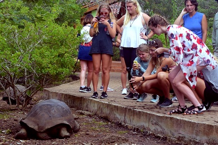 Students and tortoises