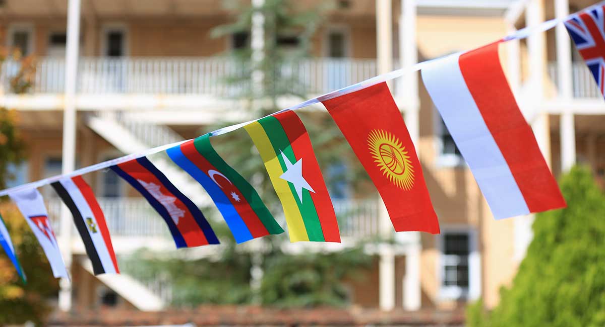 International flags hang along Green Street near the Russell House