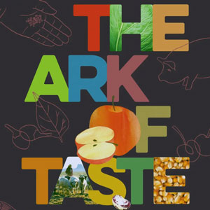 book cover with drawings of food and the words the ark of taste and