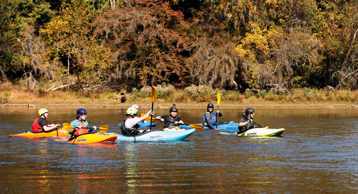 group of people paddling kayaks in the water with trees in the background