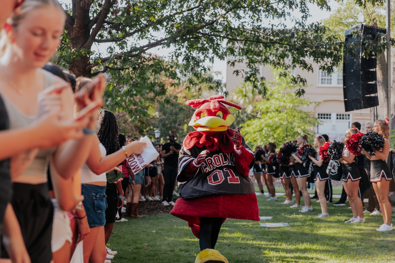 Cocky on the Horseshoe with students and cheerleaders