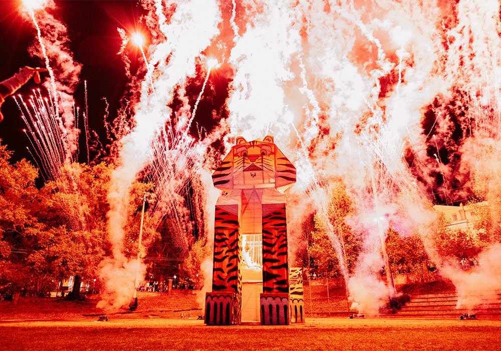 burning a tiger with fireworks