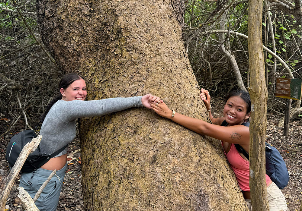 two female students reaching across a huge tree to hold hands