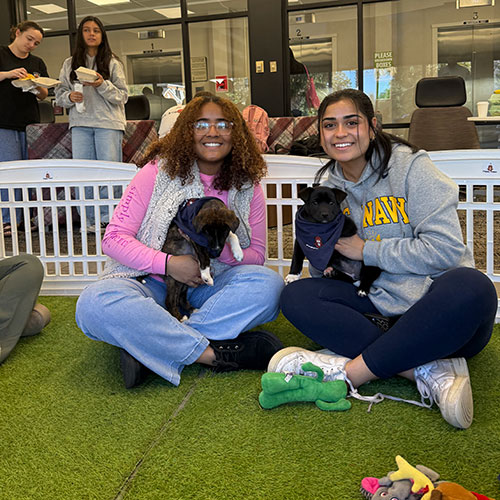 two girls sitting and holding puppies